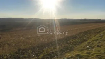 Weitläufiges Feld unter strahlendem Sonnenschein, ideal für eine ländliche Aussicht.