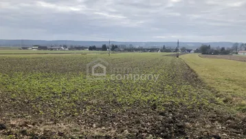 Weites Feld mit junger Vegetation und Blick auf eine ländliche Siedlung unter bewölktem Himmel.