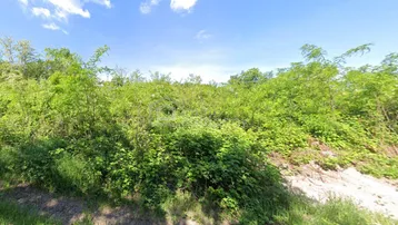 Weitläufiges, grünes Grundstück mit üppiger Vegetation unter blauem Himmel.