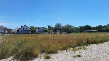 Weitläufiges, überwachsenes Grundstück mit Blick auf umliegende Wohnhäuser unter blauem Himmel.