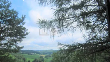 Blick aus dem Fenster auf eine weite grüne Landschaft mit Bäumen und Hügeln unter blauem Himmel.