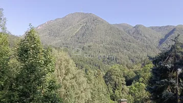Weitläufiger Blick auf bewaldete Berge unter klarem blauem Himmel.