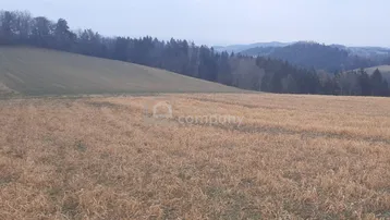 Weite Felder und bewaldete Hügel unter einem bewölkten Himmel, die eine ruhige ländliche Landschaft zeigen.