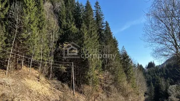 Panoramablick auf eine bewaldete Berglandschaft mit einer Straße, die sich durch die Natur schlängelt.