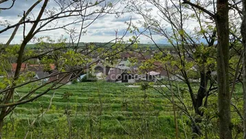Weitläufiger Blick über grüne Felder und ein Dorf in der Ferne unter bewölktem Himmel.