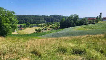 Weitläufiger Blick über grüne Felder und sanfte Hügel mit vereinzelten Häusern in der Ferne.