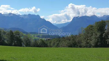 Weitläufige grüne Wiesen mit majestätischem Bergblick unter einem klaren blauen Himmel.