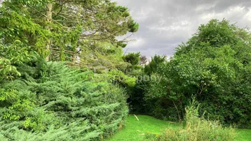 Üppiger Gartenbereich mit dichtem Grün, hohen Bäumen und einem gepflegten Rasenweg.