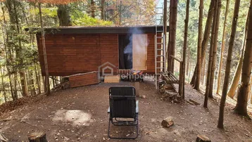 Rustikale Holzhütte im Wald mit Feuerstelle und Sitzgelegenheit, umgeben von Bäumen.