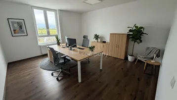 Helles und modernes Büro mit Holzboden, zwei Arbeitsplätzen und Blick ins Grüne durch große Fenster.