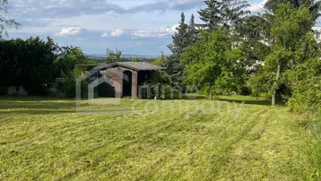 Gepflegter Garten mit weitläufiger Rasenfläche, hohen Bäumen und einem kleinen Gartenhaus im Hintergrund.