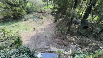 Verwilderter Gartenbereich mit vielen Bäumen, Sträuchern und einem kleinen Teich, der Pflege benötigt.
