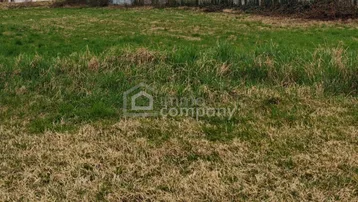 Eine weite Fläche mit grünem Gras und trockenem Gras, die eine natürliche Umgebung zeigt.