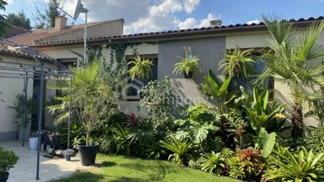 Gepflegter Gartenbereich hinter dem Haus mit üppiger Bepflanzung und Rasenfläche unter blauem Himmel.