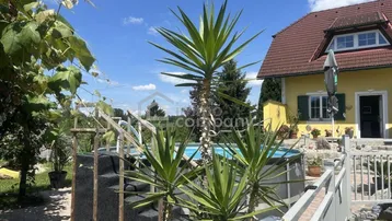 Blick auf den Gartenbereich mit einem Aufstellpool und mediterranen Pflanzen unter blauem Himmel.