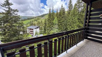 Balkon mit Holzbalken und weitem Blick auf die umliegende Berglandschaft und Nadelbäume.
