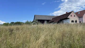 Weitläufiges Feld mit hohem Gras und alten Gebäuden im Hintergrund unter blauem Himmel.