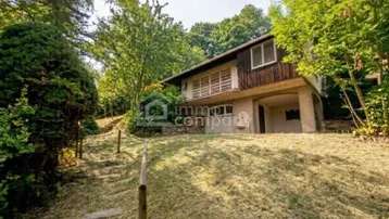 Haus in Hanglage umgeben von üppigem Grün mit Balkon und naturbelassenem Gartenbereich.