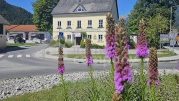 Gelbes Gasthaus an einem Kreisverkehr mit lila Blumen im Vordergrund und Bergen im Hintergrund.