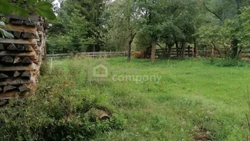 Ländlicher Gartenbereich mit Holzstapel, viel Grün und Baumbestand im Hintergrund.