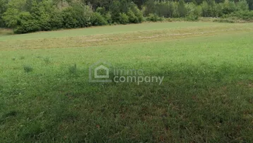 Expose Wunderschönes Grundstück in Grünbach am Schneeberg - ca. 5.200 m² mit ca. 1.000 m² Bauland