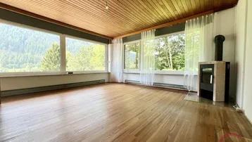 Geräumiger Raum mit Holzboden, großen Fenstern und einem modernen Kaminofen.