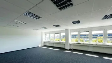 Geräumiges, leeres Büro mit Teppichboden und vielen Fenstern, die viel Tageslicht hereinlassen.