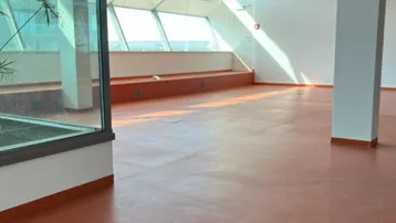 Großer, heller Büroraum mit großen Fenstern, die viel Tageslicht hereinlassen und einer modernen Glaswand.