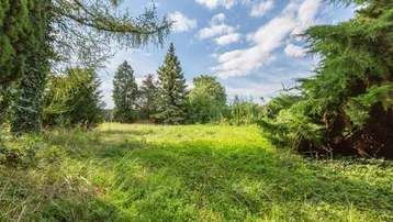 Weitläufiger Gartenbereich mit hohem Gras und umgebenden Bäumen unter blauem Himmel.