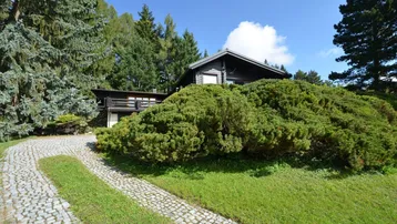 Blockhaus mit gepflasterter Auffahrt, umgeben von üppiger grüner Vegetation und hohen Bäumen unter blauem Himmel.