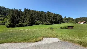 Grüne Wiesen und Wälder unter blauem Himmel mit einem Haus in der Ferne.
