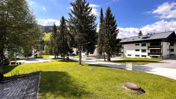 Weitläufige grüne Außenanlage mit hohen Bäumen und Gebäuden im Hintergrund unter blauem Himmel.