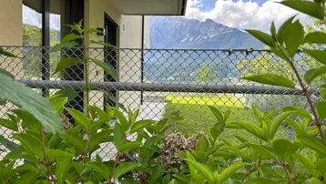 Nahaufnahme von Pflanzen mit einem weiten Blick auf die umliegende Landschaft und Berge.