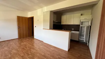 Offener Wohnbereich mit integrierter Küche, Laminatboden und Holztür, ideal für modernes Wohnen.