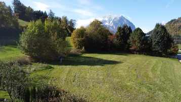 Grüne Wiese mit Bäumen und einem schneebedeckten Berg im Hintergrund unter blauem Himmel.