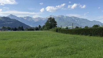 Weitläufiges grünes Feld mit einer Hecke und majestätischem Alpenpanorama unter blauem Himmel.