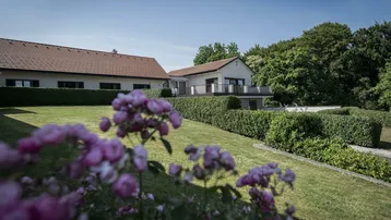 Gepflegter Gartenbereich mit blühenden Rosen, Rasenflächen und Hecken vor dem Wohnhaus.
