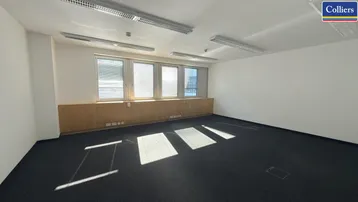 Geräumiges Büro mit Teppichboden, großen Fenstern und viel Tageslicht, ideal für produktives Arbeiten.