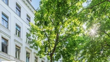 Klassische Fassade eines Wohngebäudes mit grünen Bäumen und Sonnenschein.