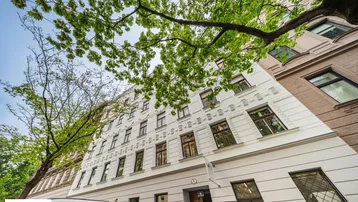 Altbau-Fassade mit vielen Fenstern und grünen Bäumen im Vordergrund, aufgenommen aus einer Froschperspektive.
