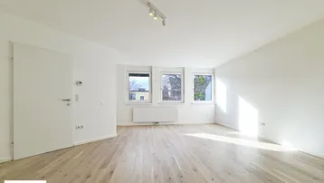 Heller, leerer Wohnraum mit hellem Holzfußboden und drei großen Fenstern, die viel Tageslicht hereinlassen.