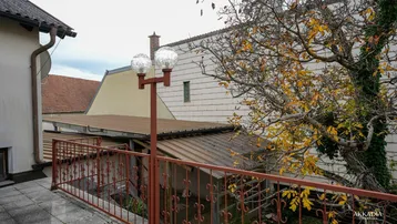 Ausblick von der Terrasse über die Dächer und Bäume der Nachbarschaft.