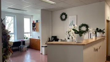 Empfangsbereich mit Theke, Dekoration und Blick in einen angrenzenden Raum mit Fenstern.