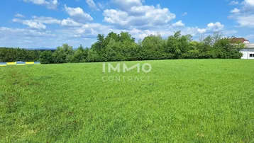 Weitläufiges grünes Feld unter blauem Himmel mit vereinzelten Bäumen im Hintergrund und einem Gebäude am Horizont.