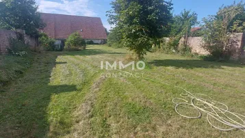 Großer, ungenutzter Gartenbereich mit Rasenfläche, alten Mauern und viel Potenzial.