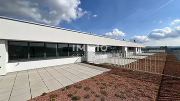 Große Dachterrasse mit Betonplatten und extensiver Begrünung unter blauem Himmel.