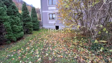 Herbstlicher Gartenbereich mit Rasen, Bäumen und vielen bunten Blättern auf dem Boden.