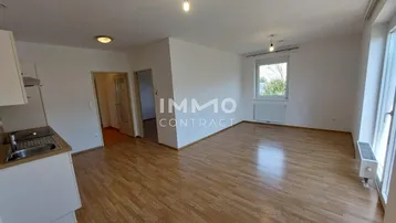 Heller offener Wohnbereich mit Laminatboden und Zugang zu einem weiteren Raum, ideal für flexibles Wohnen.