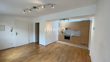 Helles Wohnzimmer mit integrierter Küchenzeile, Parkettboden und Deckenstrahlern.