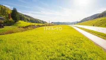 Weitläufige grüne Wiesenfläche neben einer Straße mit sonnigem Himmel und bewaldeten Hügeln im Hintergrund.